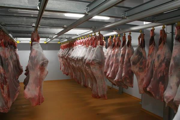 Морозильная камера своими руками для мяса Морозильная камера своими руками для мяса